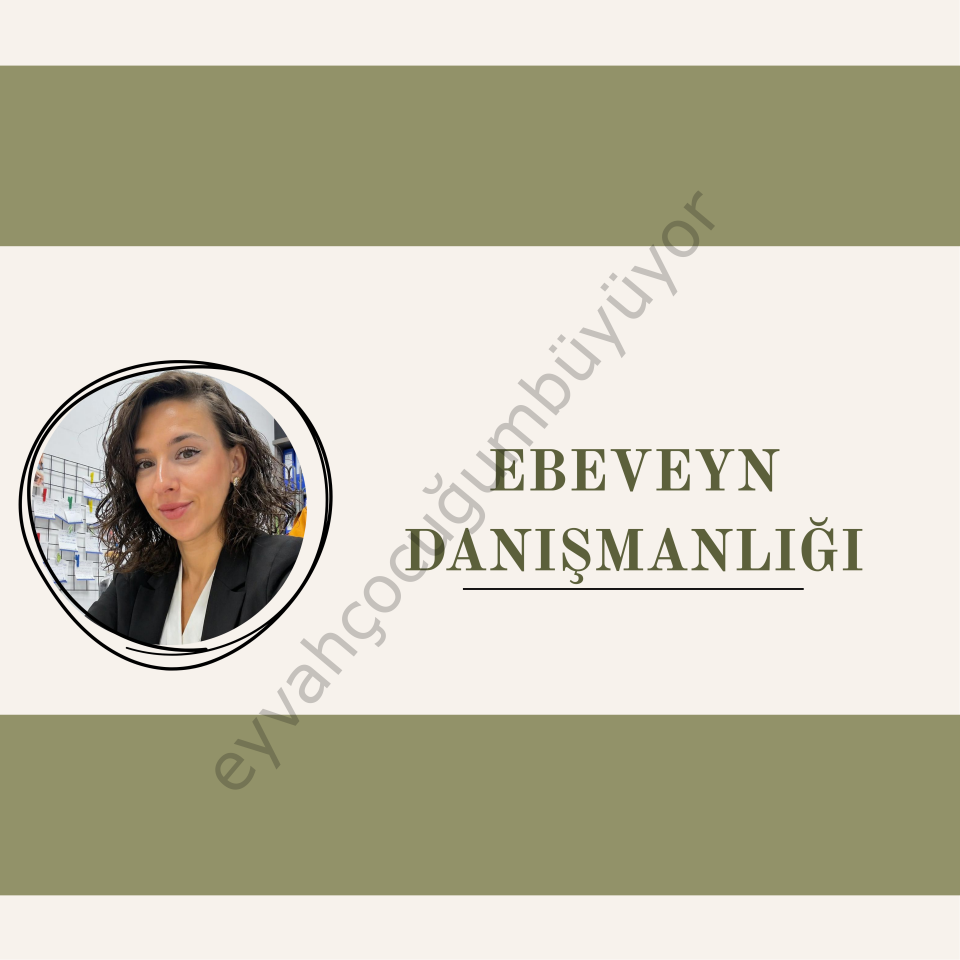 Ebeveyn Danışmanlığı | Birebir Online Uzman Desteği